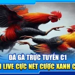 38.da ga truc tuyen c1 – xem live cuc net cuoc xanh chin 2